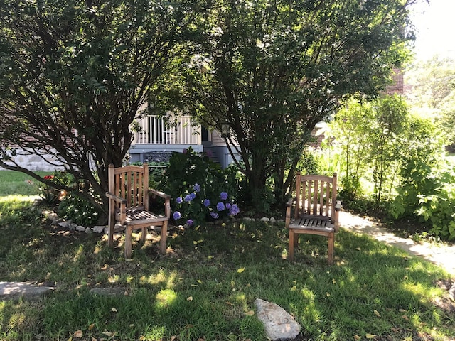 2811 Fairfield Ave Unit 1, Bridgeport, CT 06605 - view of yard