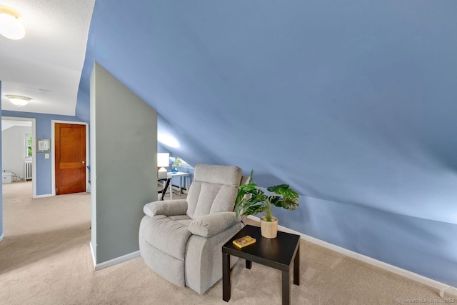 134 Saint Charles St, West Hartford, CT 06119 - sitting room with carpet, baseboards, lofted ceiling, and radiator