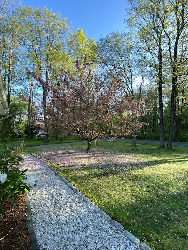 21 White Birch Rd, Redding, CT 06896 - view of yard