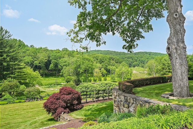 155 Long Ridge Rd, Danbury, CT 06810