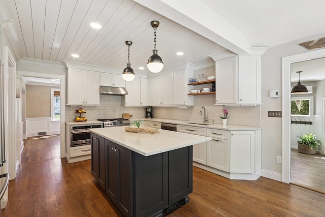 kitchen with under cabinet range hood, white cabinets, appliances with stainless steel finishes, and a sink