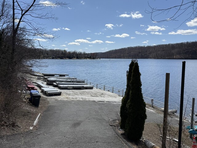 dock area with a water view and a forest view