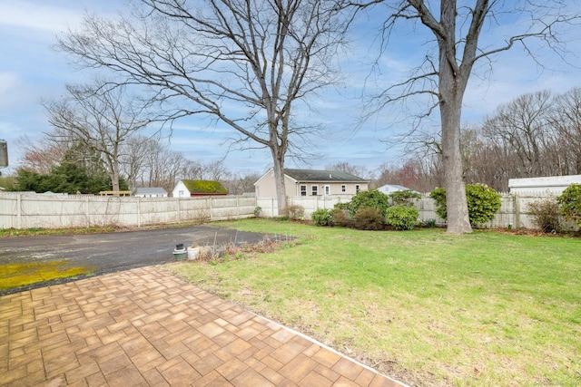 view of yard with a patio, a fenced backyard, and aphalt driveway