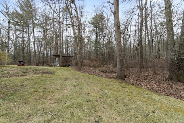 view of yard with an outbuilding