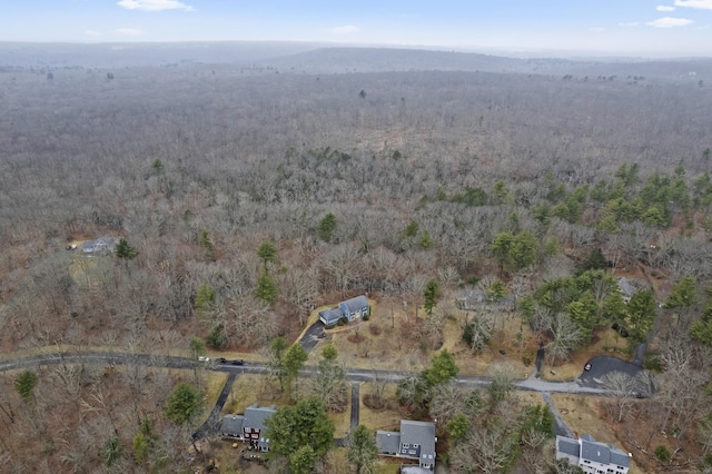 birds eye view of property featuring a forest view