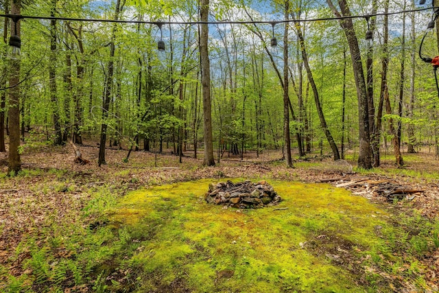 29 Lighthouse Rd, Woodbury, CT 06798 - view of yard