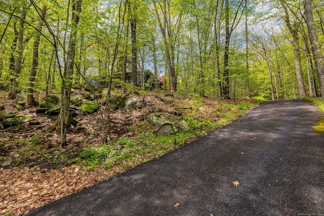 29 Lighthouse Rd, Woodbury, CT 06798 - view of street featuring a wooded view