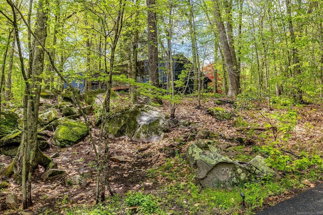 29 Lighthouse Rd, Woodbury, CT 06798 - view of nature