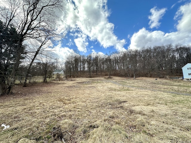 882 S Grand St, East Granby, CT 06026 - photo 6