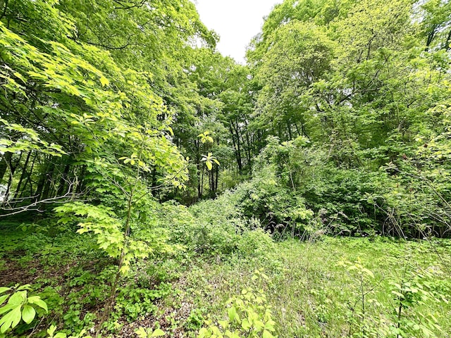 882 S Grand St, East Granby, CT 06026 - photo 4
