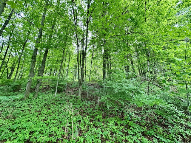 882 S Grand St, East Granby, CT 06026 - photo 5