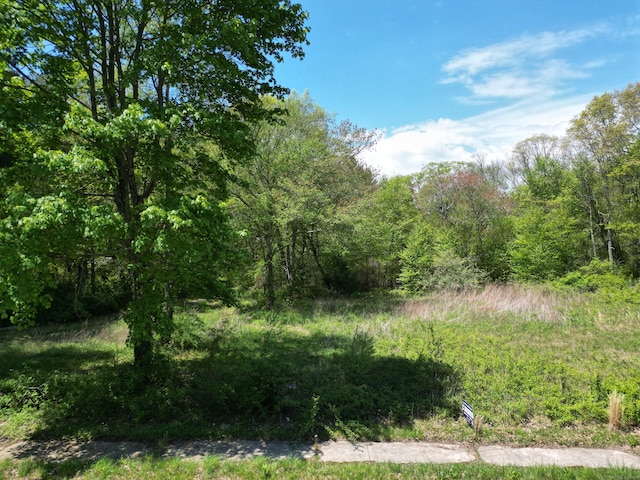 103 Flanders Rd, Groton, CT 06355 - view of wooded area