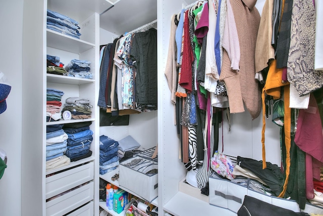 view of spacious closet