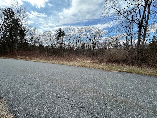 36 Olde Meadow Rd, Woodstock, CT 06281 - view of asphalt road
