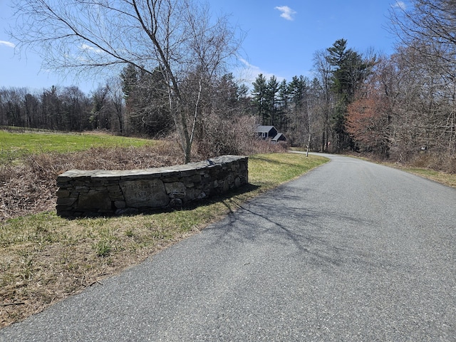 36 Olde Meadow Rd, Woodstock, CT 06281 - view of street with a wooded view