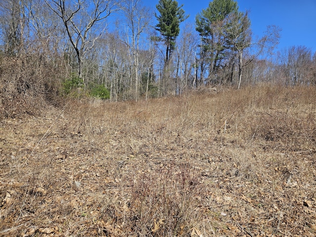 36 Olde Meadow Rd, Woodstock, CT 06281 - view of undeveloped land