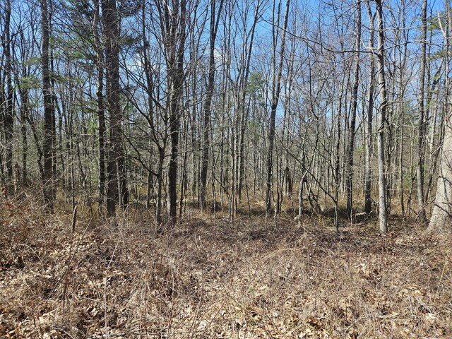 36 Olde Meadow Rd, Woodstock, CT 06281 - view of local wilderness