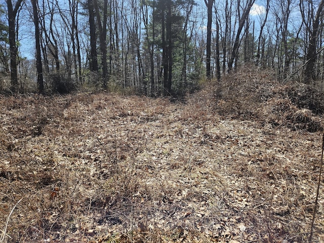 36 Olde Meadow Rd, Woodstock, CT 06281 - view of nature