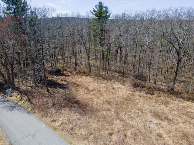 36 Olde Meadow Rd, Woodstock, CT 06281 - view of wooded area