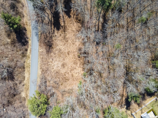 36 Olde Meadow Rd, Woodstock, CT 06281 - aerial view of property and surrounding area