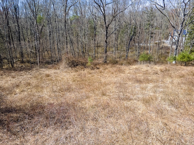 36 Olde Meadow Rd, Woodstock, CT 06281 - view of undeveloped land