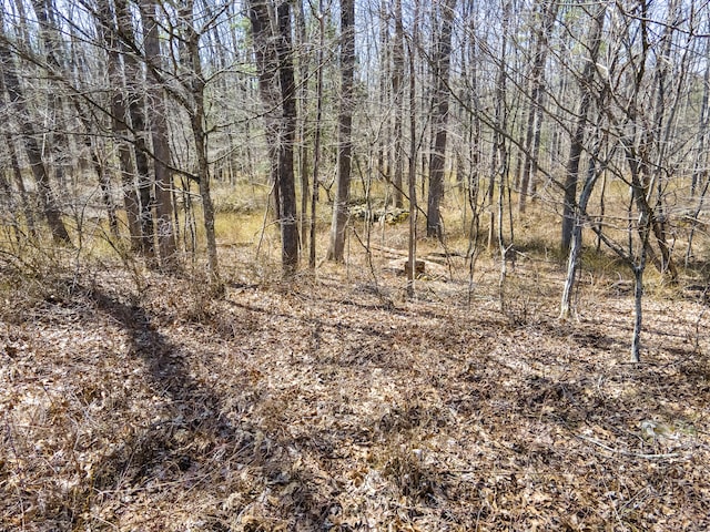 36 Olde Meadow Rd, Woodstock, CT 06281 - view of wooded area