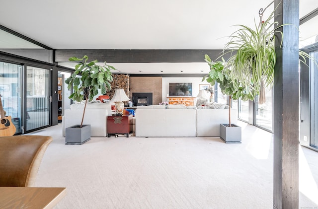 carpeted living room with plenty of natural light