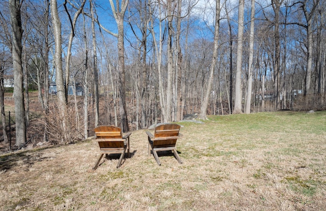 view of yard with a wooded view