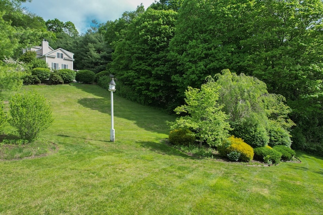 40 Nathan Hale Ct, Cheshire, CT 06410 - view of green lawn with a forest view