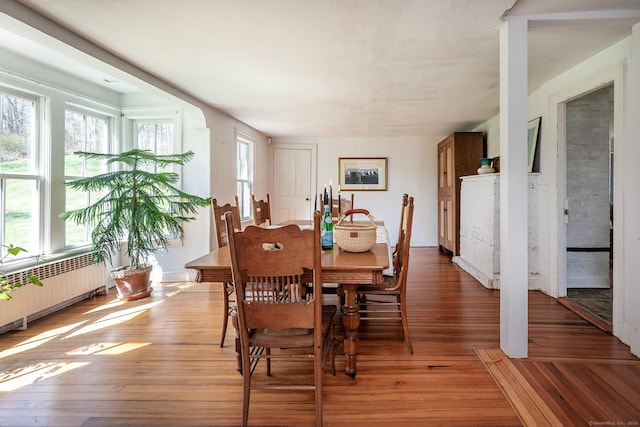 265 Housatonic River Rd, Salisbury, CT 06068 - dining room featuring radiator and light wood-type flooring