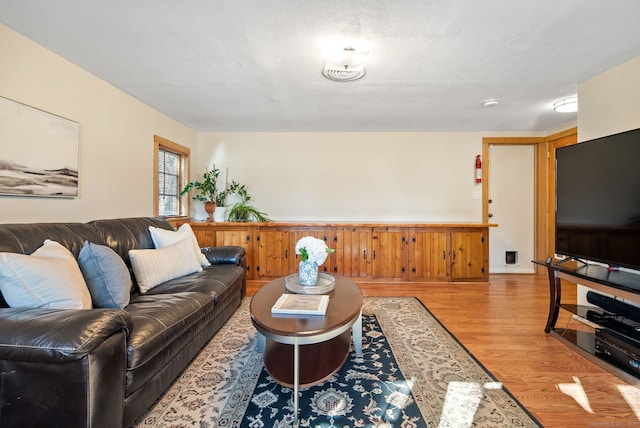 93 Lyman Rd, West Hartford, CT 06117 - living room featuring wainscoting and light wood-style flooring