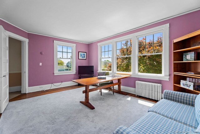 86 Tyler Ave, Groton, CT 06340 - office space featuring radiator heating unit, wood finished floors, baseboards, and ornamental molding