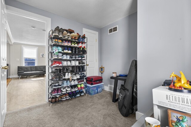 interior space featuring baseboards, carpet flooring, and visible vents