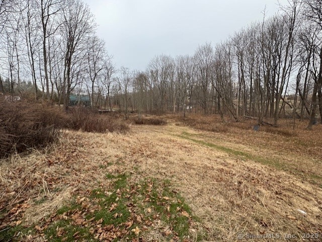 38 High St, Middlefield, CT 06455 - view of local wilderness