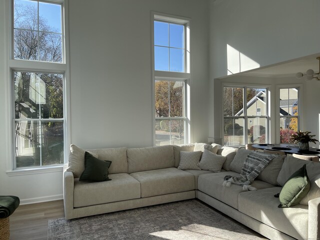 living room featuring wood finished floors, a healthy amount of sunlight, and a towering ceiling