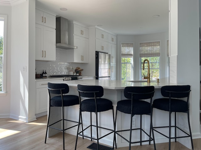 kitchen featuring decorative backsplash, wall chimney exhaust hood, a sink, light wood finished floors, and stainless steel appliances