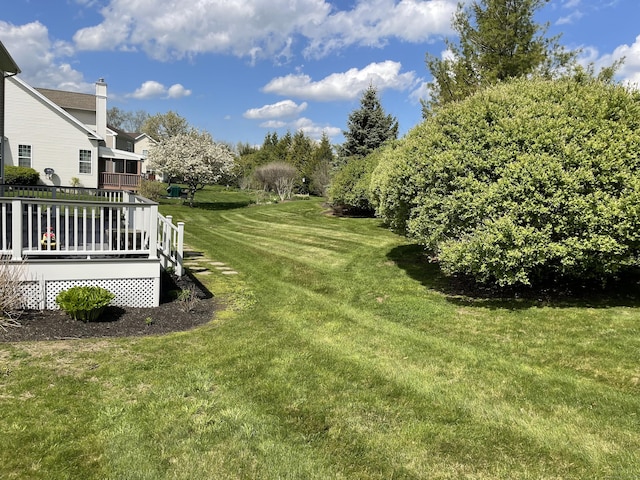 view of yard featuring a deck