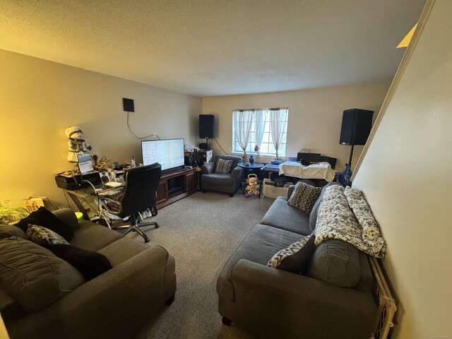 519 Scott Rd Apt 60, Waterbury, CT 06705 - carpeted living area featuring a textured ceiling