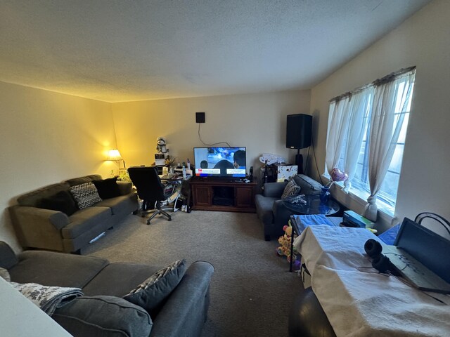 519 Scott Rd Apt 60, Waterbury, CT 06705 - living area featuring carpet floors and a textured ceiling