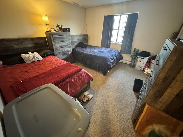 519 Scott Rd Apt 60, Waterbury, CT 06705 - view of carpeted bedroom