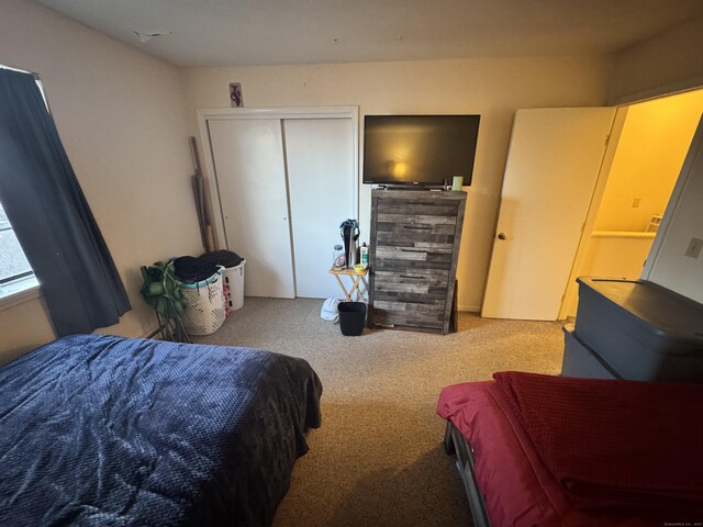519 Scott Rd Apt 60, Waterbury, CT 06705 - bedroom with carpet floors and a closet