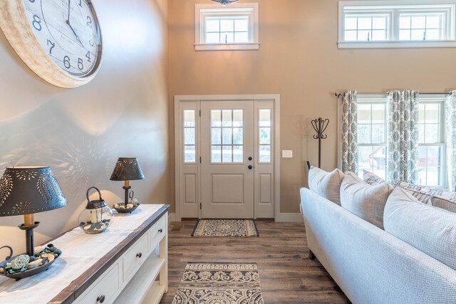 entrance foyer with baseboards, plenty of natural light, a towering ceiling, and dark wood finished floors