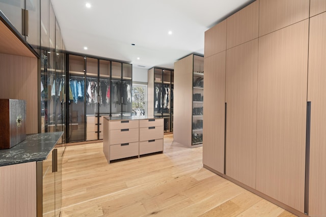 355 Greens Farms Rd, Westport, CT 06880 - spacious closet with light wood-style floors