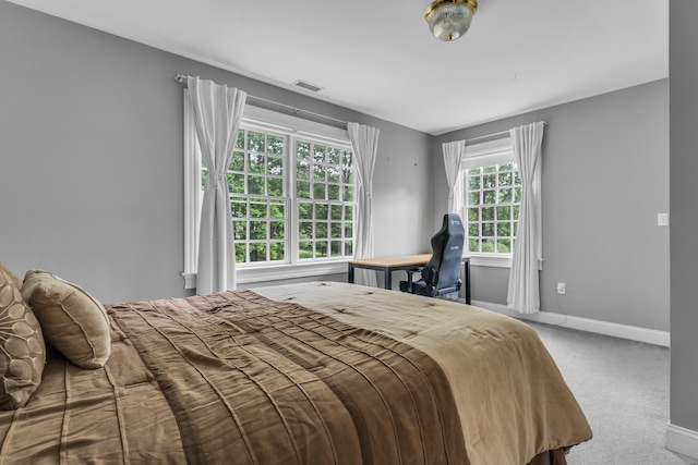 6 Ely Ln, Killingworth, CT 06419 - bedroom with baseboards and carpet floors