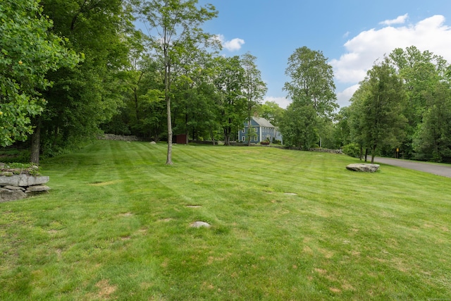 6 Ely Ln, Killingworth, CT 06419 - view of grassy yard
