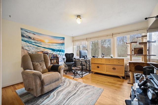 interior space featuring baseboards and light wood-style floors