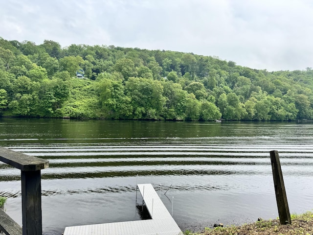 66 Waterview Dr, Newtown, CT 06482 - water view featuring a forest and a dock