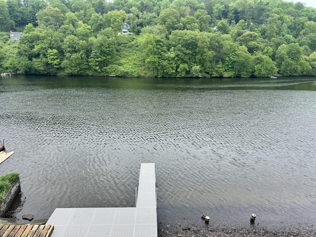 66 Waterview Dr, Newtown, CT 06482 - water view