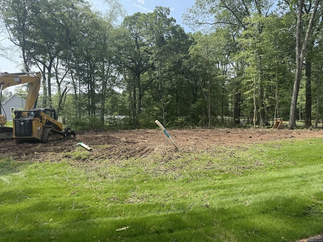 519 Village St, Bristol, CT 06010 - view of yard