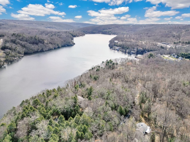 drone / aerial view featuring a water view and a forest view